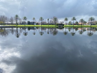 wanderers files/Wanderers 2024/30-7-2024.png